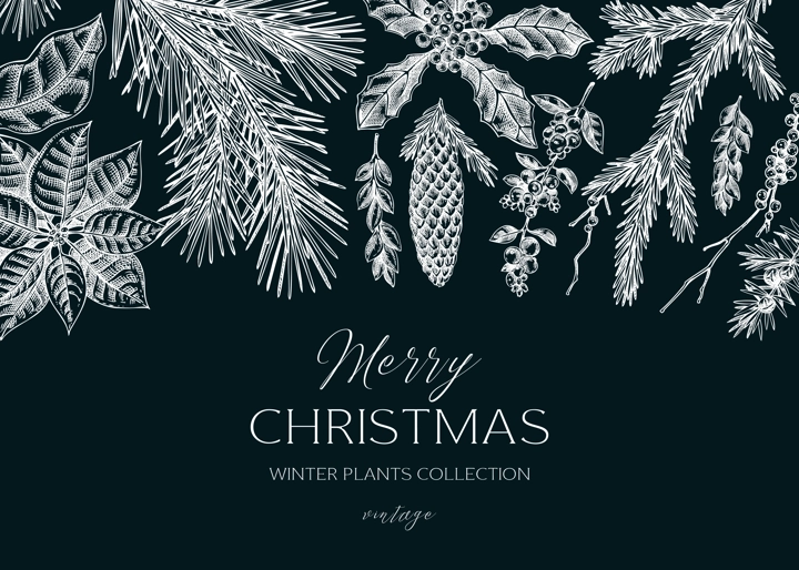 Christmas background. Winter plants vintage banner. Conifer trees, winter flowers, birds sketches on chalkboard. Hand drawn vector illustration. NOT AI generated
